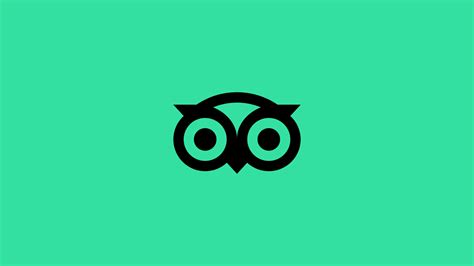 tripadvisor owl|The Tripadvisor owl gets refined in rebrand by Mother .